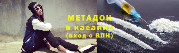 стаф Алзамай