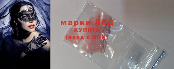 стаф Алзамай