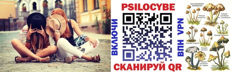 Псилоцибиновые грибы Cubensis  Грозный 